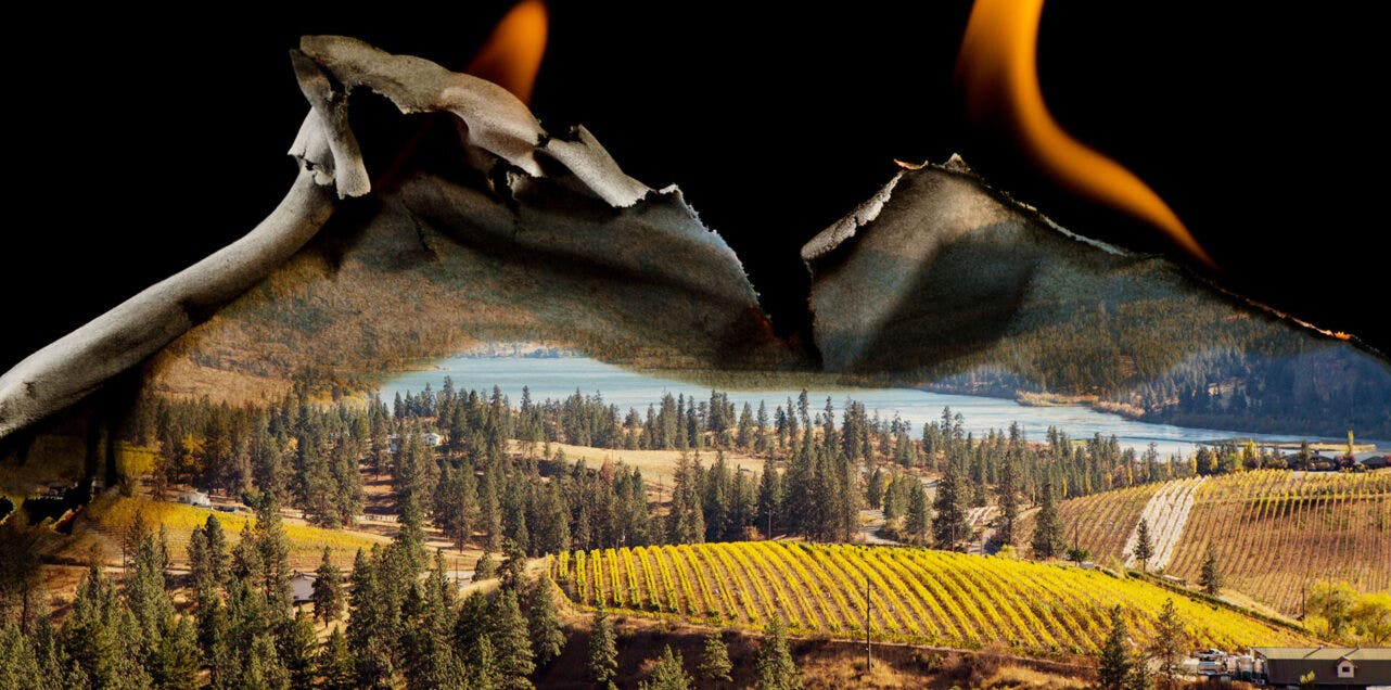 A burning image of the Okanagan Wine Region